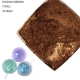 YT3411 Pearlescent Pigment